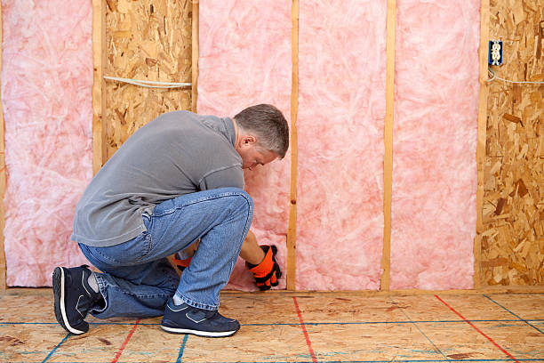 Best Insulation Contractor Near Me  in Mount Vernon, KY
